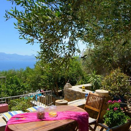 Villa Olga アイオス・ニコラオス エクステリア 写真